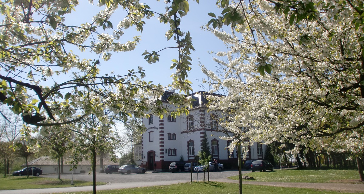 Park