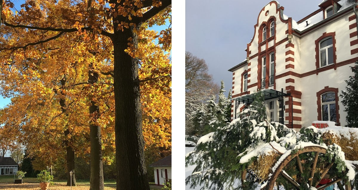 Herbst-Winter